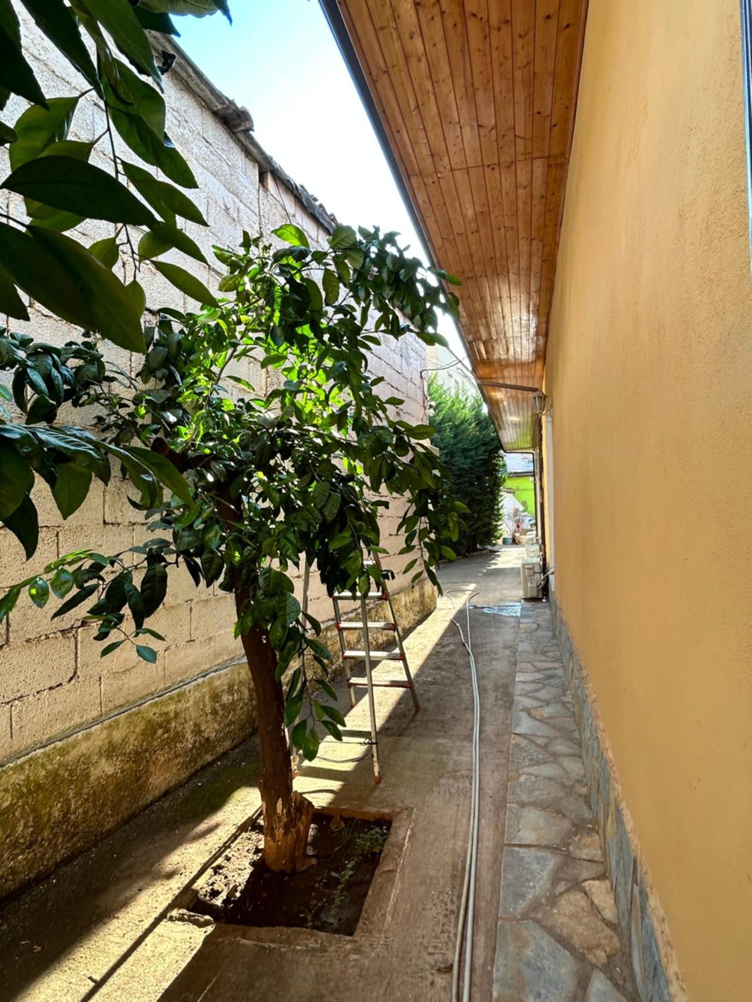 D1 Hostel Tirana Exterior foto
